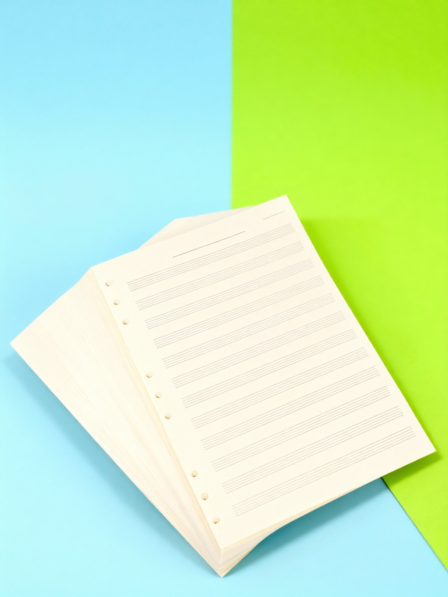 Blank Sheet Music Notebook - 100 feuilles de papier pour manuscrits